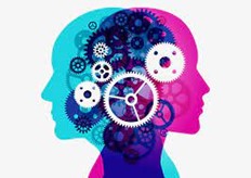 Les biais cognitifs : « tout le monde en parle »